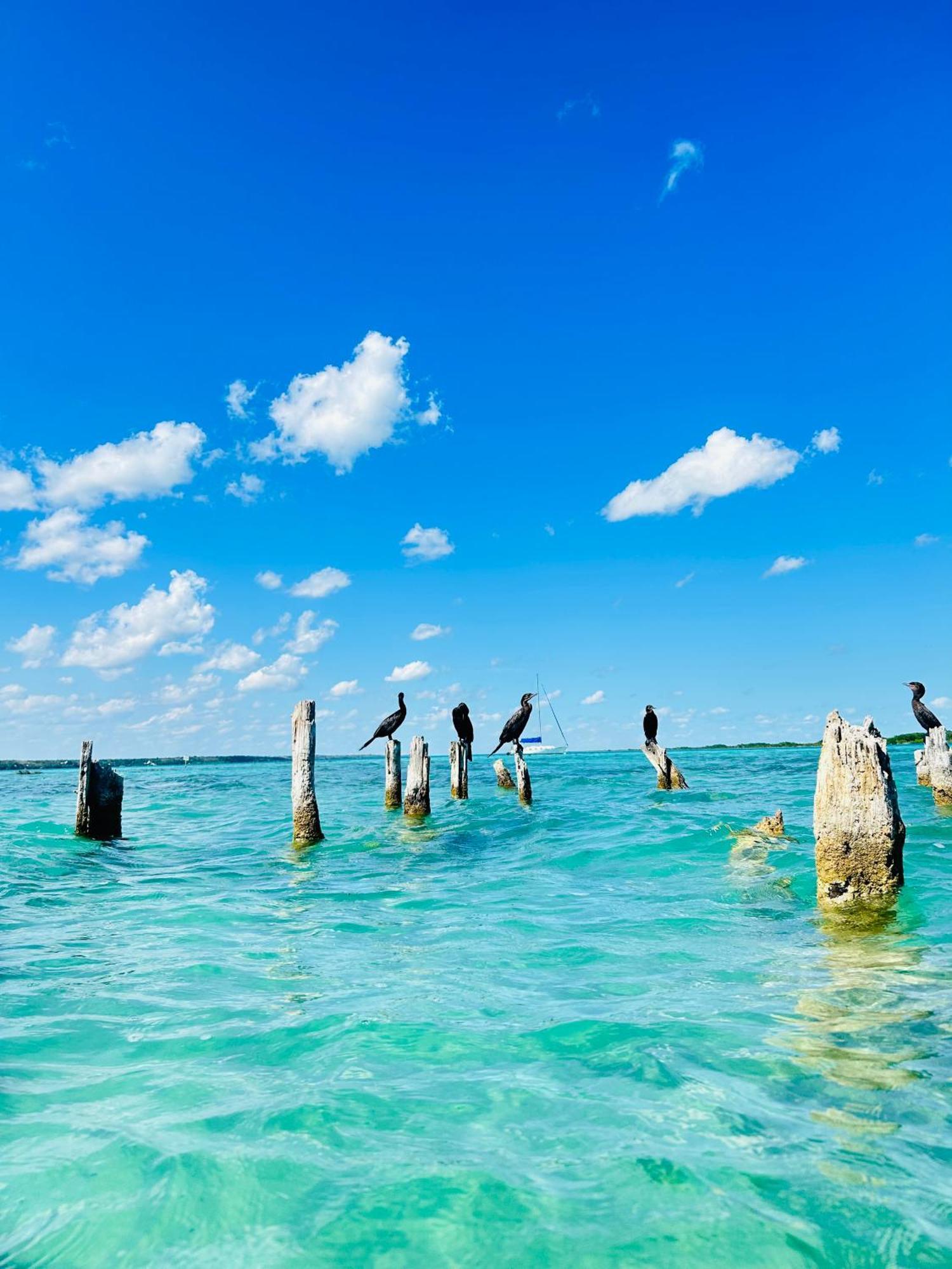 Departamentos Blue Bacalar Apartment ภายนอก รูปภาพ